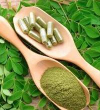 Benefit of moringa for liver