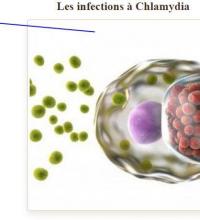 Infection a chlamydia 1