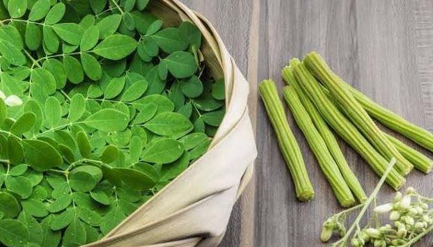 Moringa