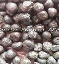 Ovule ewebio asb 2 copier copier 