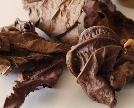 Feuilles de djeka 3