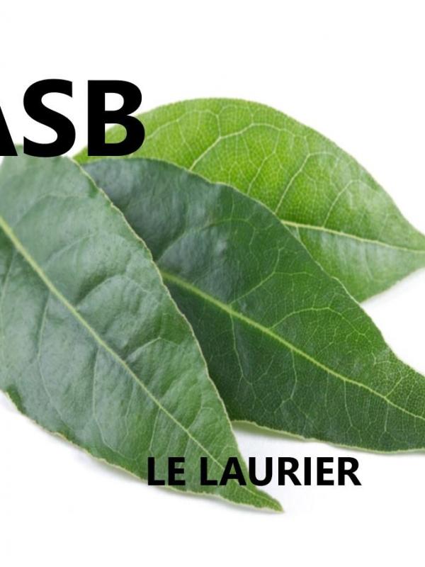 Laurier